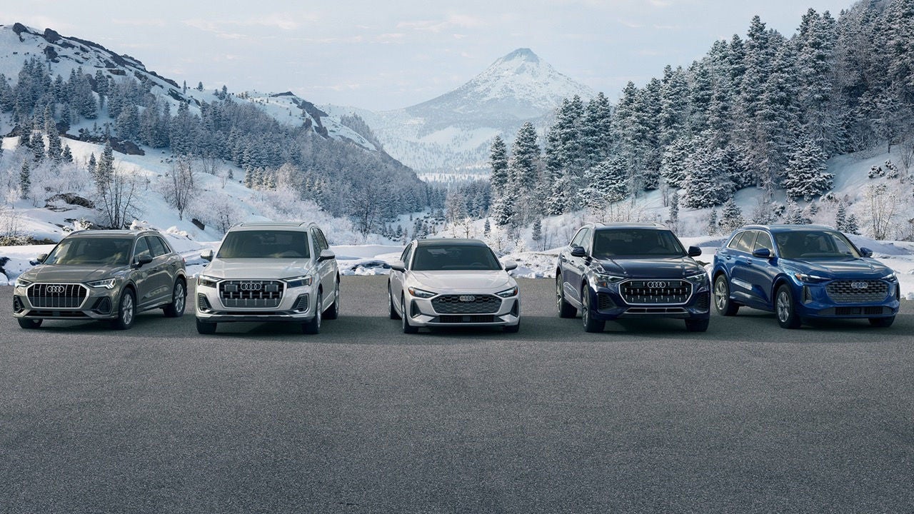 Audi vehicles parked in snow